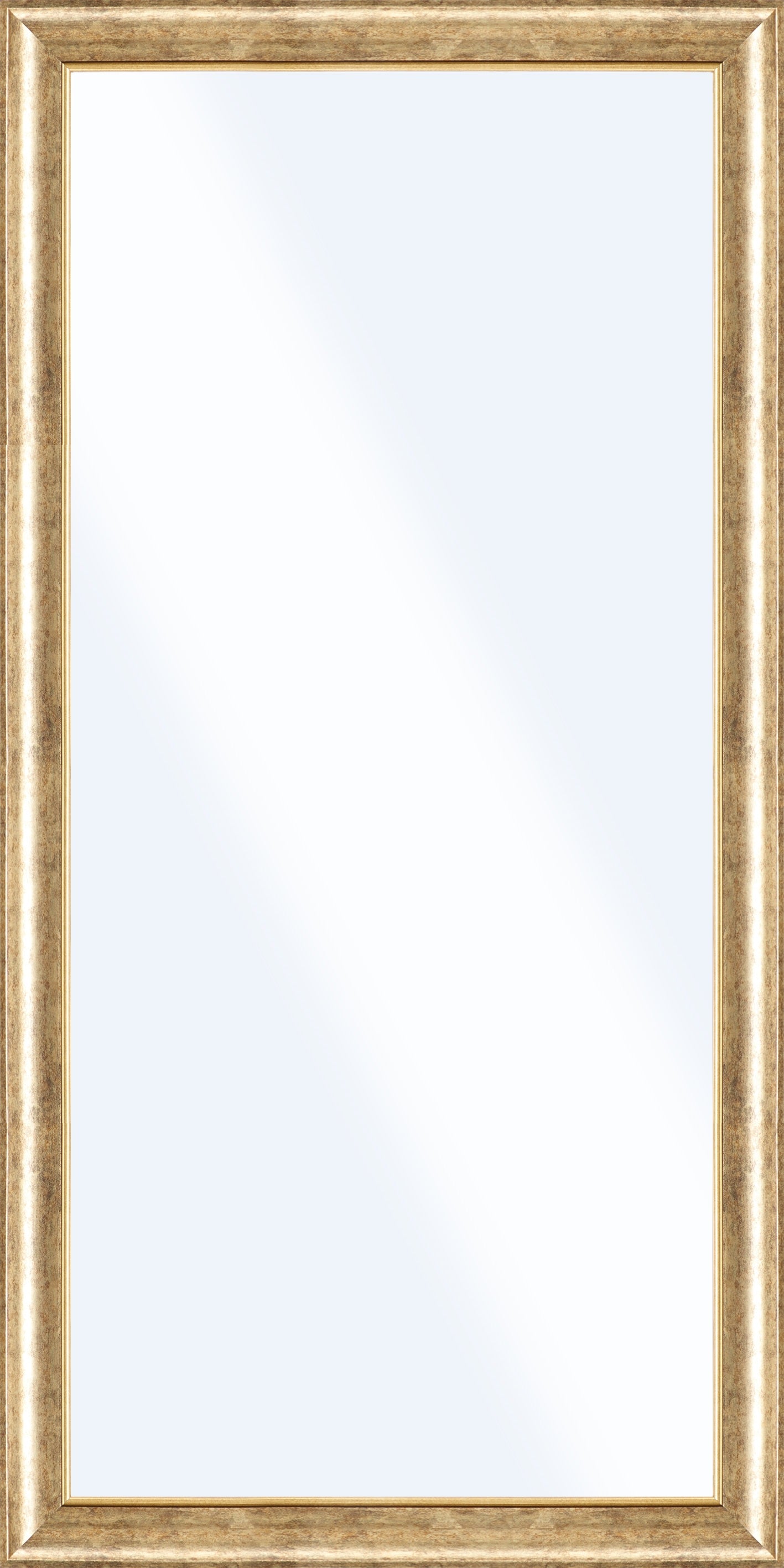Spiegel JONATHAN GOLD 50x100 cm – Wandspiegel gerahmt modern