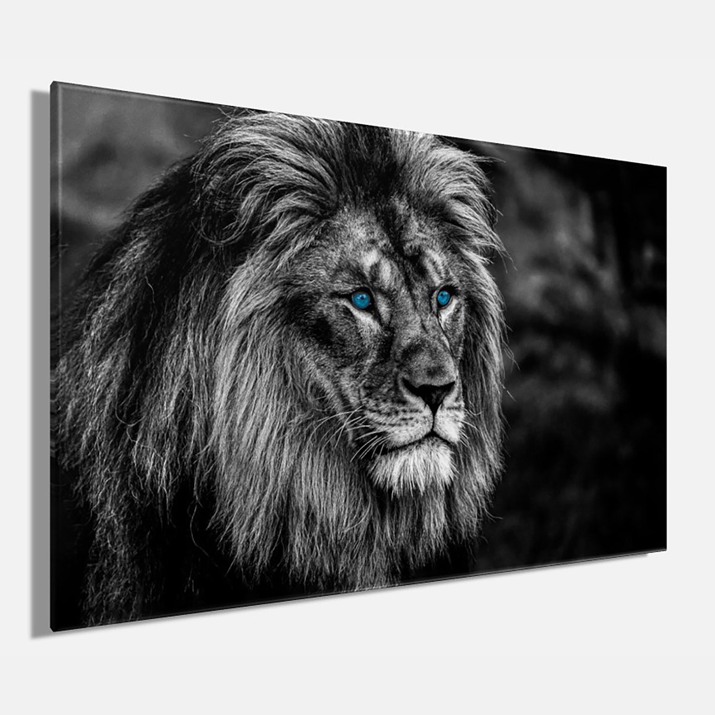 Wandbild LÖWE 78x118 cm – Leinwandbild Keilrahmen Deko modern - Seitenansicht