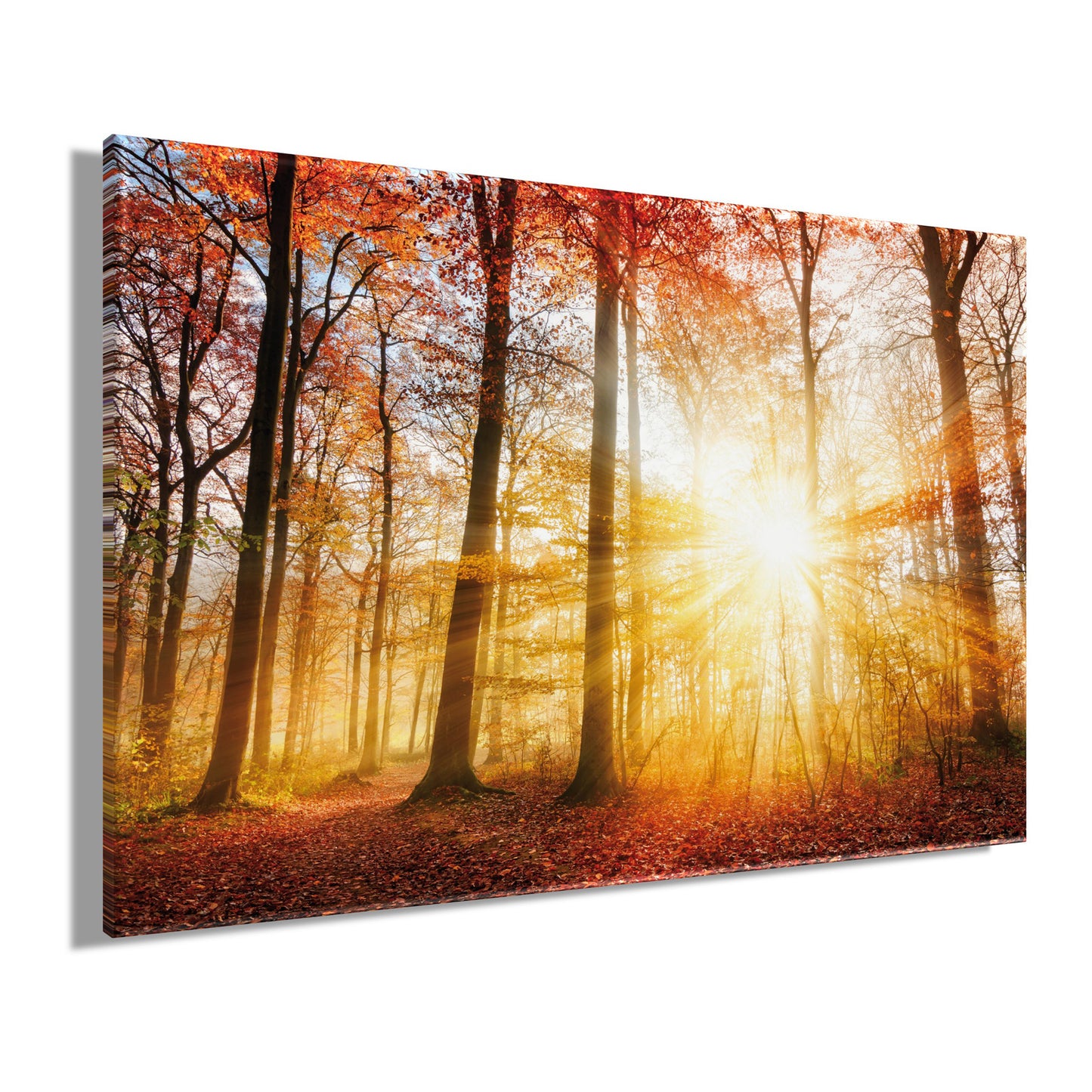 Wandbild HERBSTWALD 60x90 cm – Leinwandbild Keilrahmen Deko modern - Seitenansicht