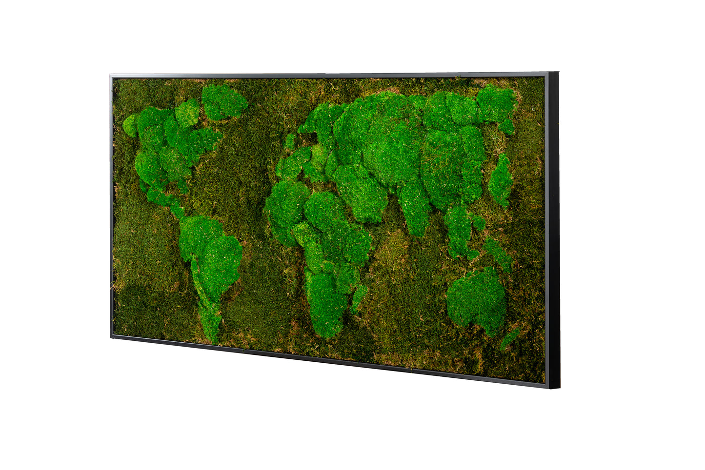 Moosbild "Weltkarte" 60x120 cm, schwarzer Rahmen