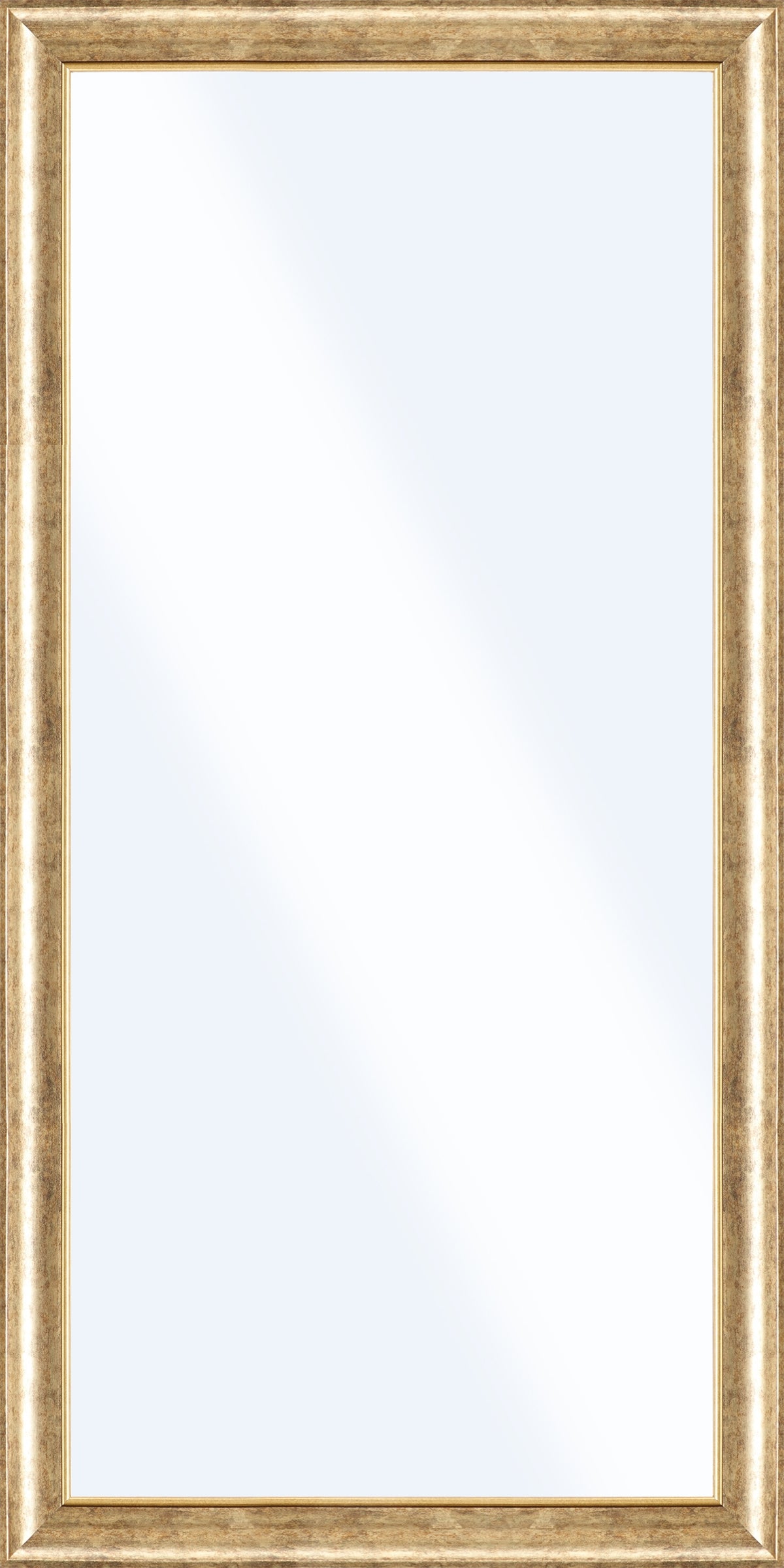 Spiegel JONATHAN GOLD 50x100 cm – Wandspiegel gerahmt modern