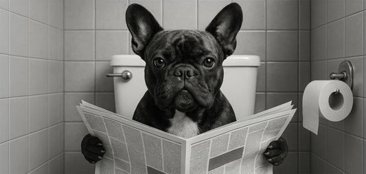 Wandbild WC HUND 33x70 cm – Leinwandbild Keilrahmen Deko modern