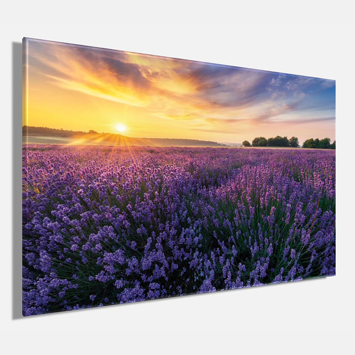 Wandbild LAVENDELFELD 78x118 cm – Leinwandbild Keilrahmen Deko modern - Seitenansicht