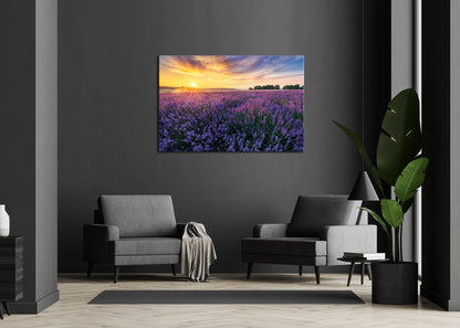 Wandbild LAVENDELFELD 78x118 cm – Leinwandbild Keilrahmen Deko modern - Ambiente 1