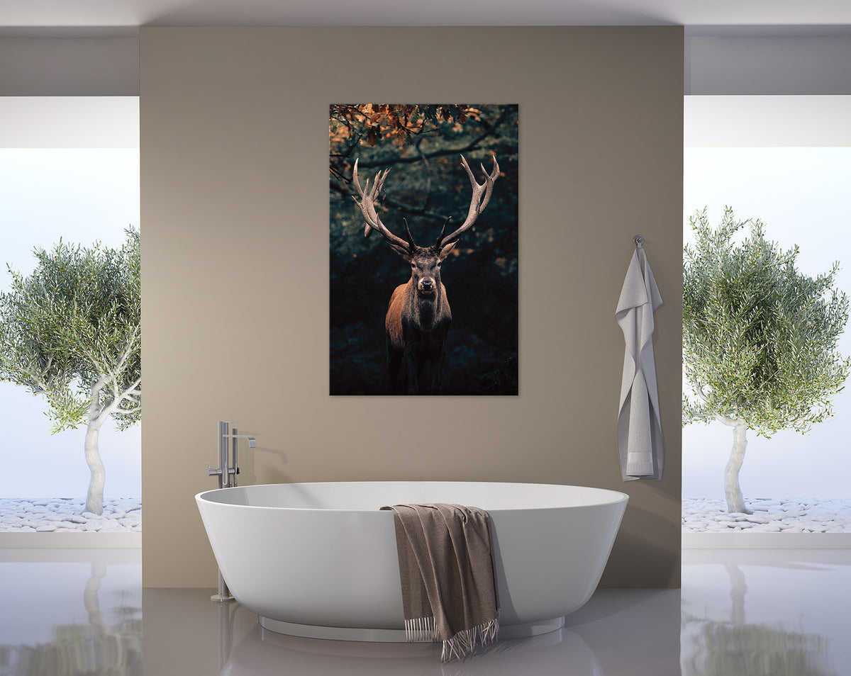Wandbild HIRSCH IM WALD 78x118 cm – Leinwandbild Keilrahmen Deko modern - Ambiente 2