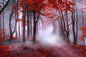 Wandbild NEBEL IM ROTEN WALD 78x118 cm – Leinwandbild Keilrahmen Deko modern