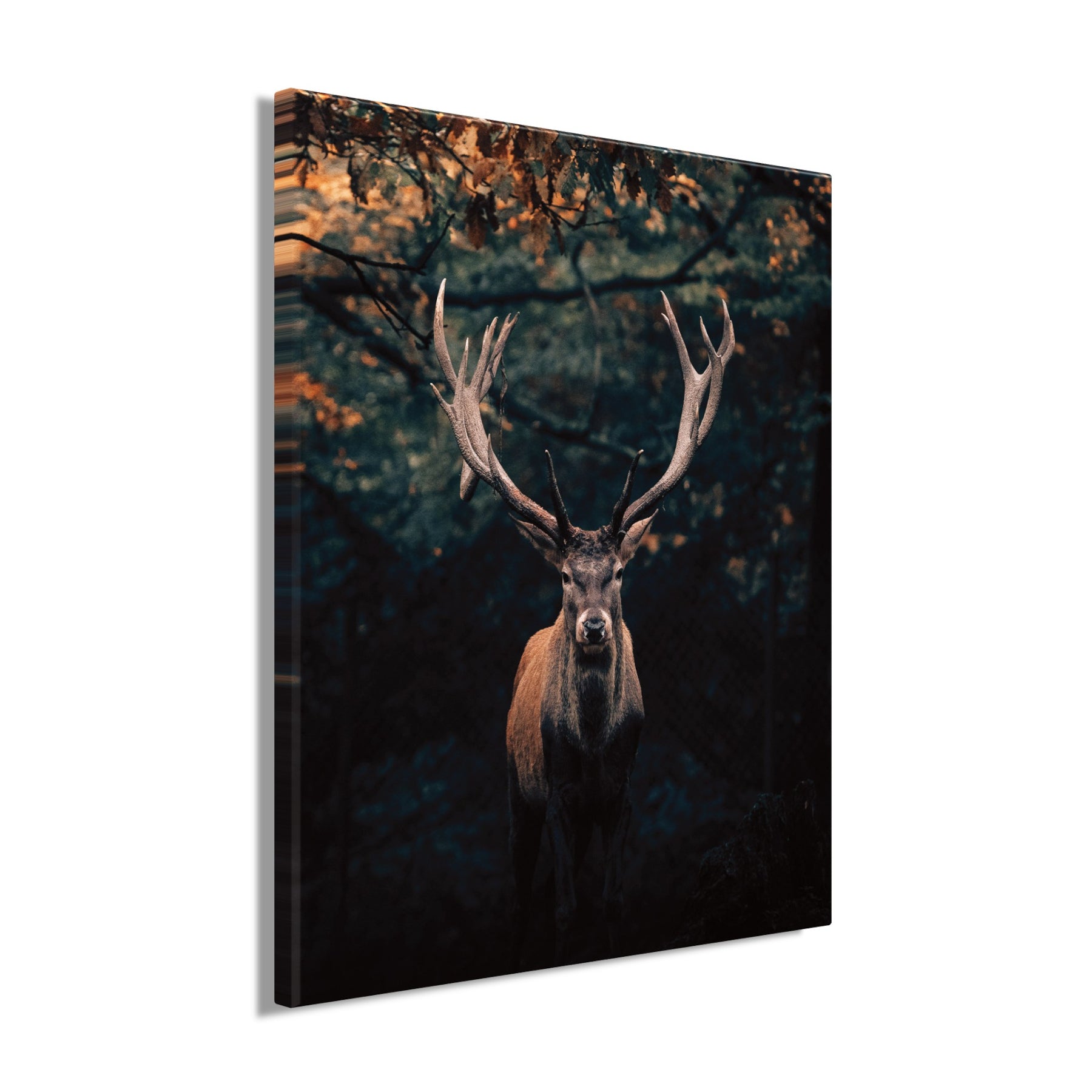 Wandbild HIRSCH IM WALD XXL 118x140 cm – Leinwandbild Keilrahmen Deko modern - Seitenansicht
