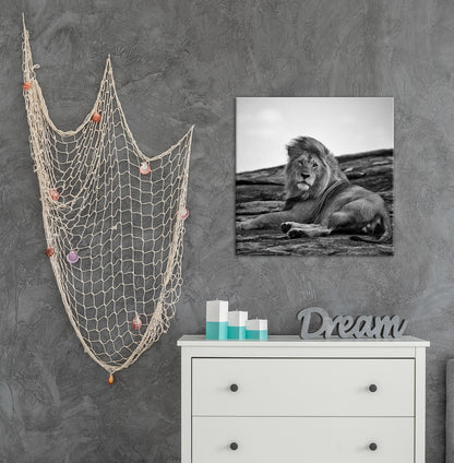 Wandbild Löwe 35x35 cm – Leinwandbild Keilrahmen Deko modern - Ambiente 1