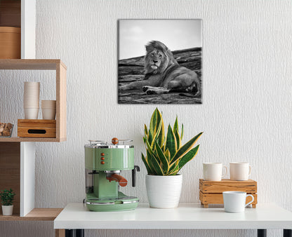 Wandbild Löwe 35x35 cm – Leinwandbild Keilrahmen Deko modern - Ambiente 3