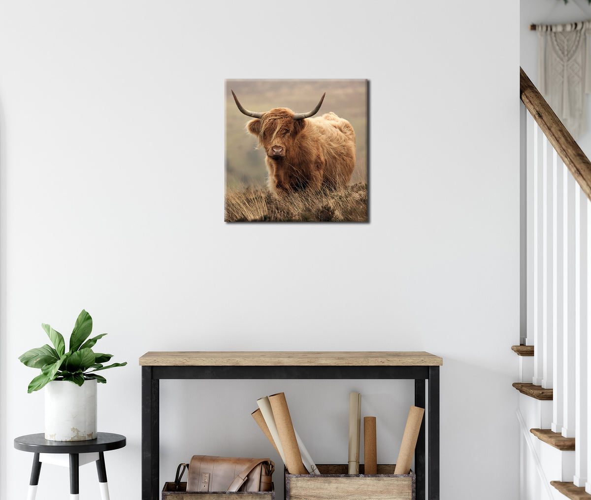Wandbild HOCHLANDRIND 35x35 cm – Leinwandbild Keilrahmen Deko modern - Ambiente 2