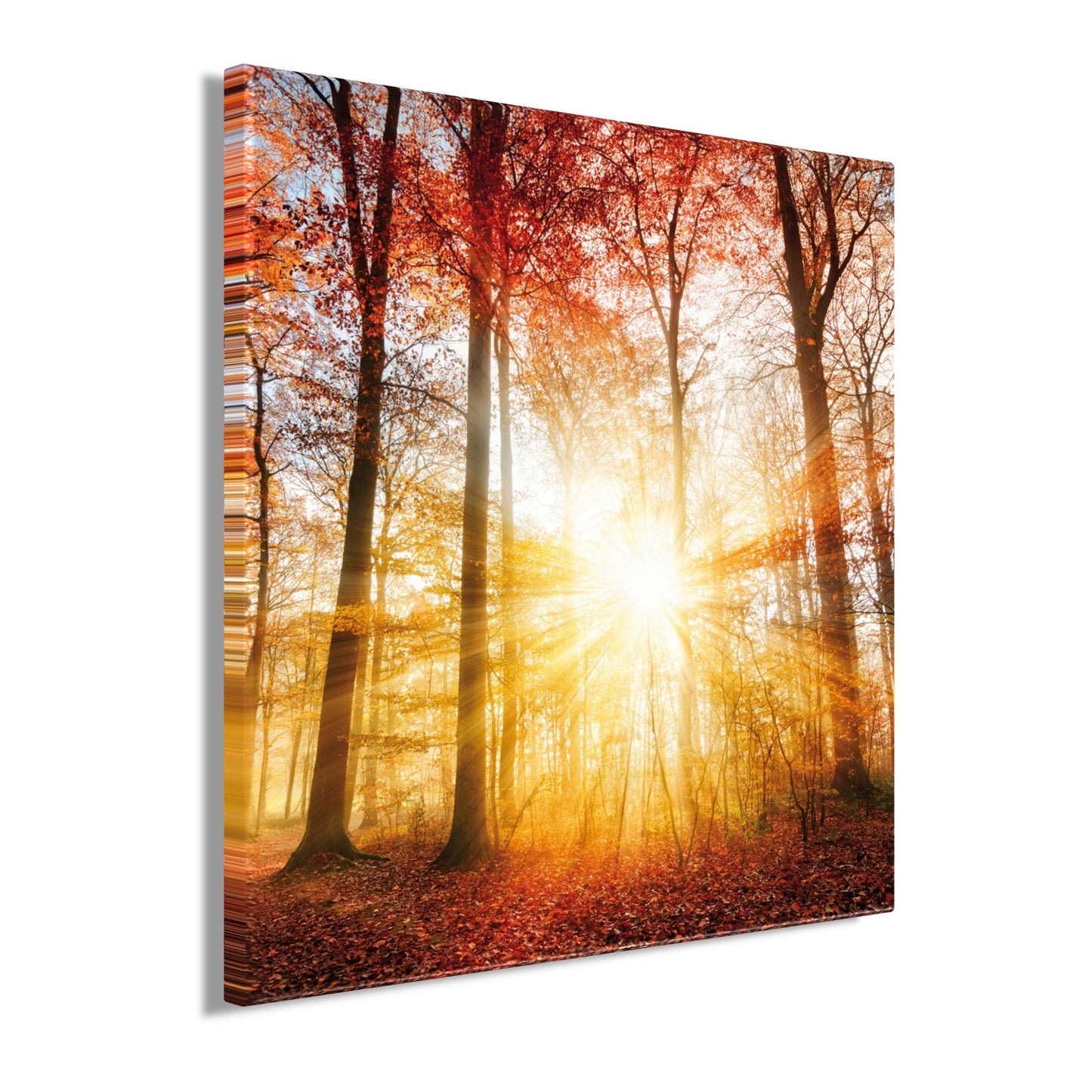 Wandbild HERBSTWALD 35x35 cm – Leinwandbild Keilrahmen Deko modern - Seitenansicht