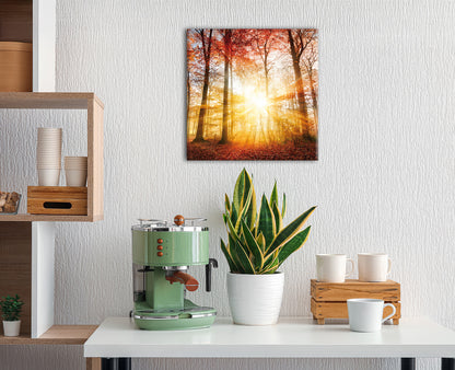 Wandbild HERBSTWALD 35x35 cm – Leinwandbild Keilrahmen Deko modern - Ambiente 2