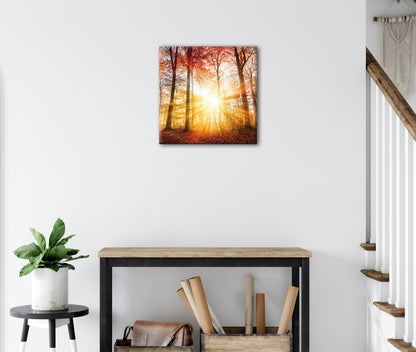 Wandbild HERBSTWALD 35x35 cm – Leinwandbild Keilrahmen Deko modern - Ambiente 3