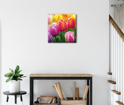 Wandbild TULPEN 35x35 cm – Leinwandbild Keilrahmen Deko modern - Ambiente 3