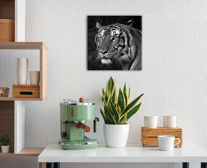 Wandbild TIGER SCHWARZWEIß 35x35 cm – Leinwandbild Keilrahmen Deko modern - Ambiente 2