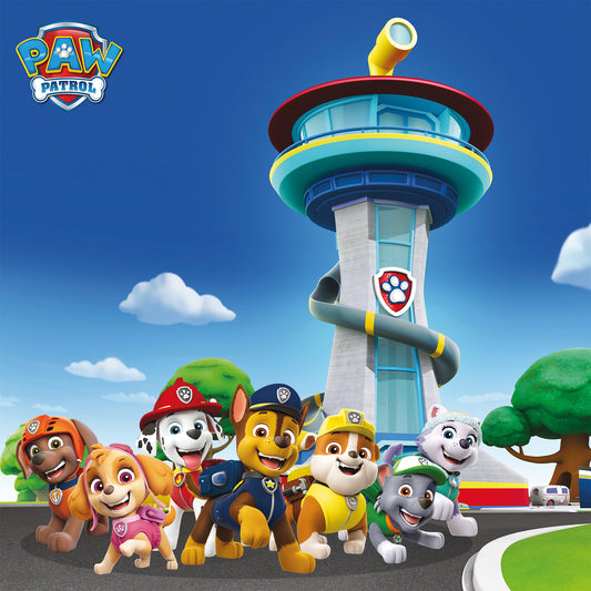 Wandbild PAW PATROL 35x35 cm – Leinwandbild Keilrahmen Deko modern