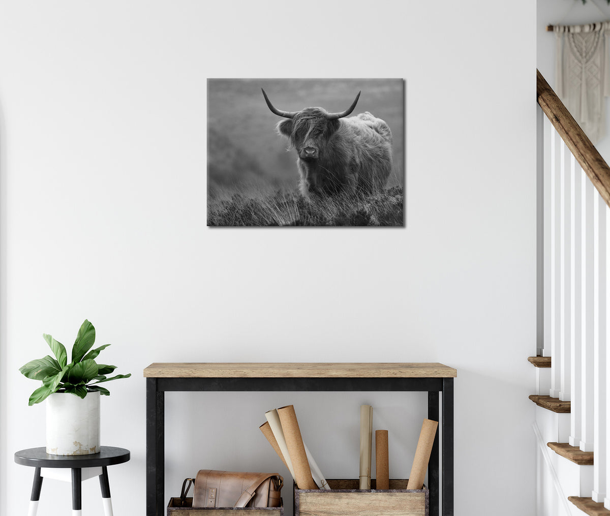 Wandbild HOCHLANDRIND SW 46x61 cm – Leinwandbild Keilrahmen Deko modern - Ambiente 1