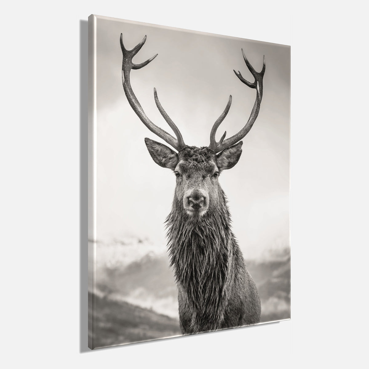 Wandbild HIRSCH 46x61 cm – Leinwandbild Keilrahmen Deko modern - Seitenansicht