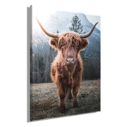 Wandbild HOCHLANDRIND 46x61 cm – Leinwandbild Keilrahmen Deko modern - Seitenansicht