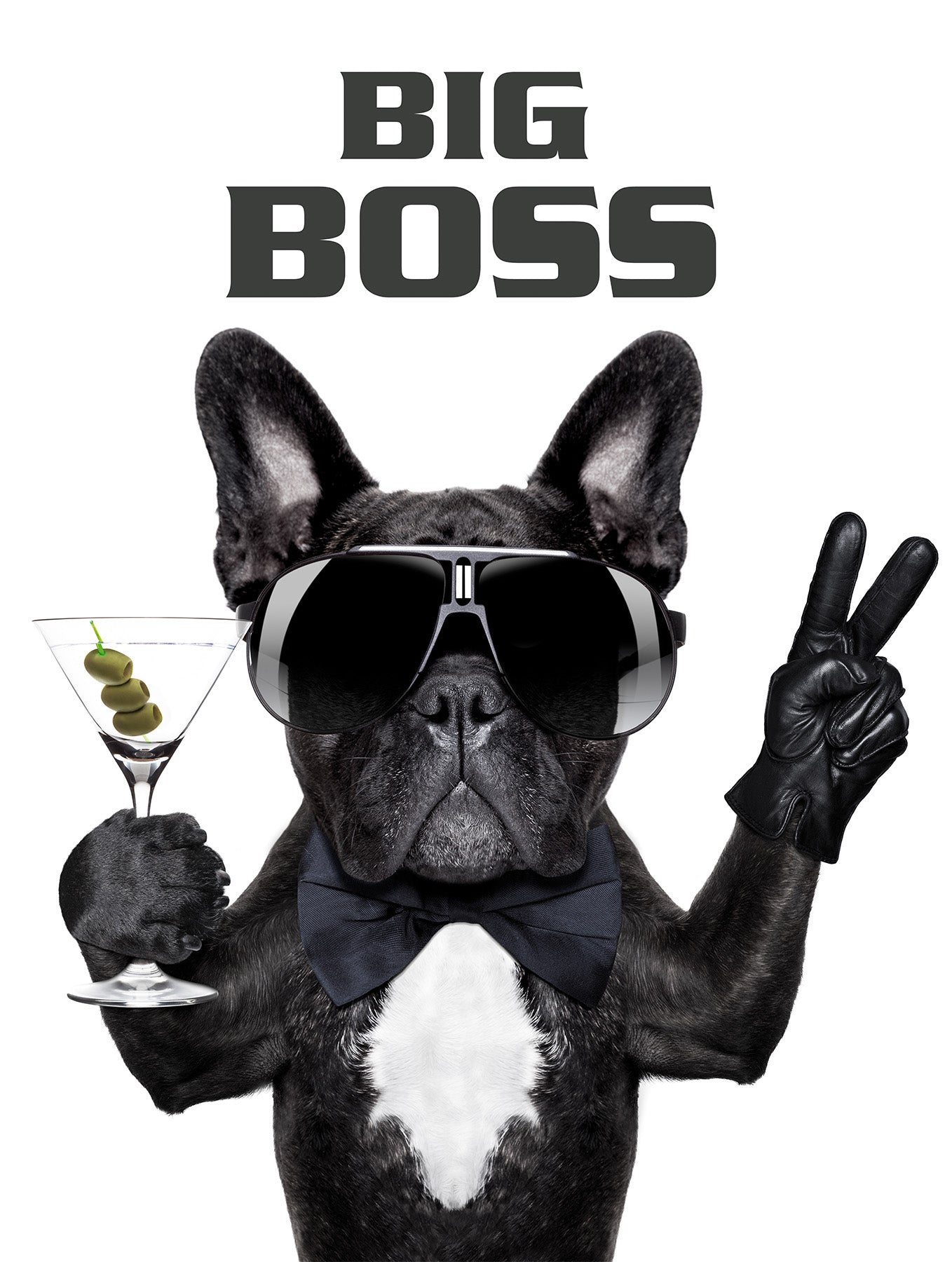Wandbild HUND BIG BOSS 46x61 cm – Leinwandbild Keilrahmen Deko modern