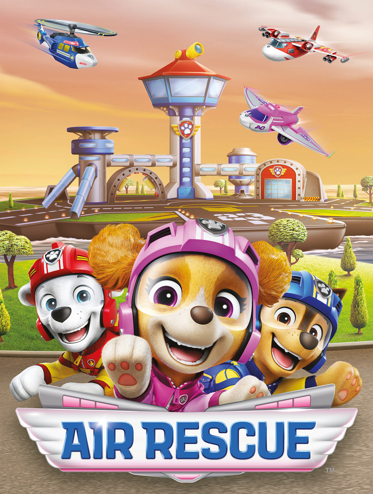 Wandbild AIR RESCUE PAW PATROL 46x61 cm – Leinwandbild Keilrahmen Deko modern