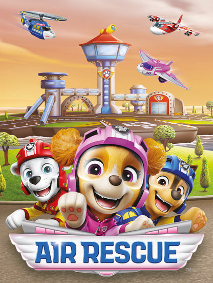 Wandbild AIR RESCUE PAW PATROL 46x61 cm – Leinwandbild Keilrahmen Deko modern