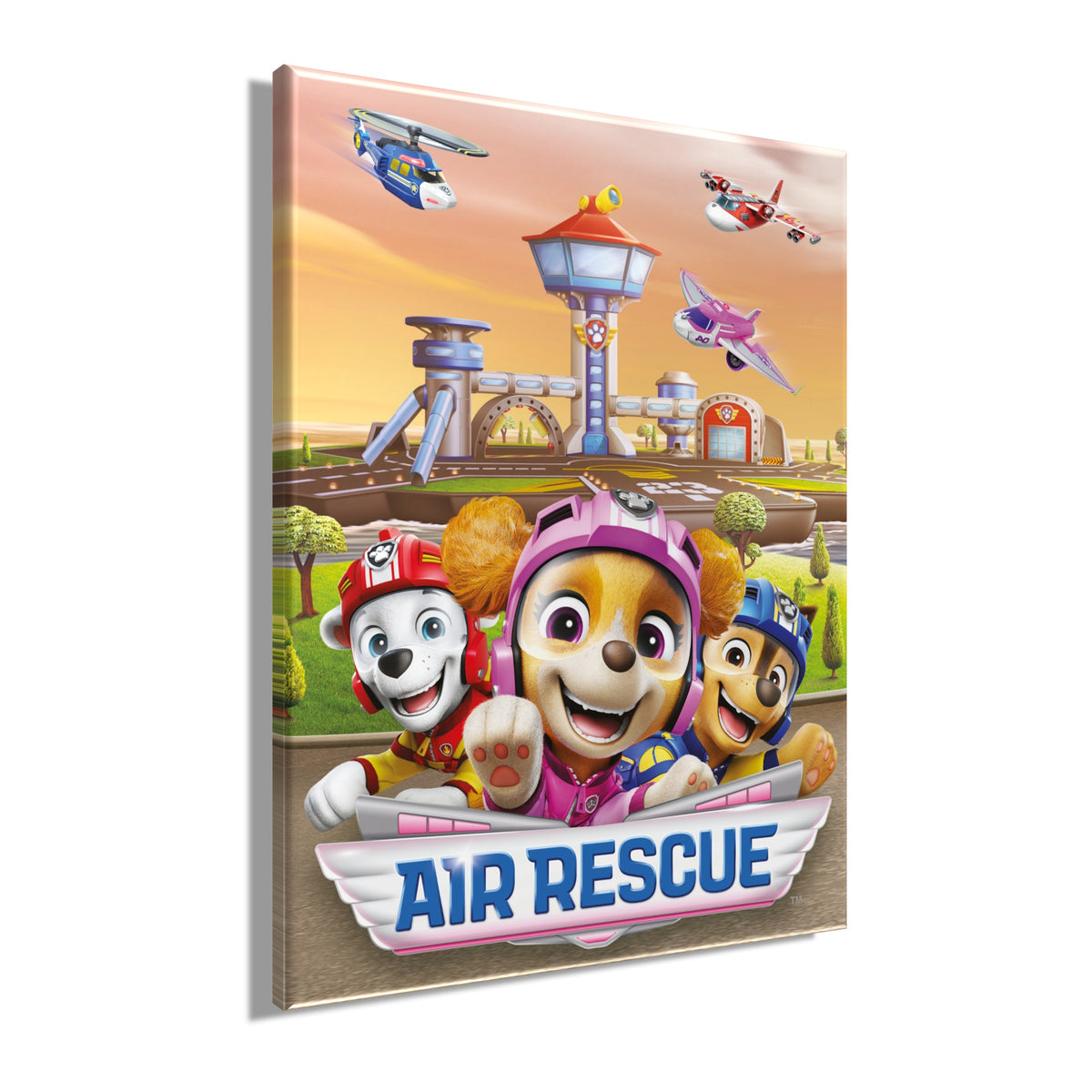 Wandbild AIR RESCUE PAW PATROL 46x61 cm – Leinwandbild Keilrahmen Deko modern - Seitenansicht
