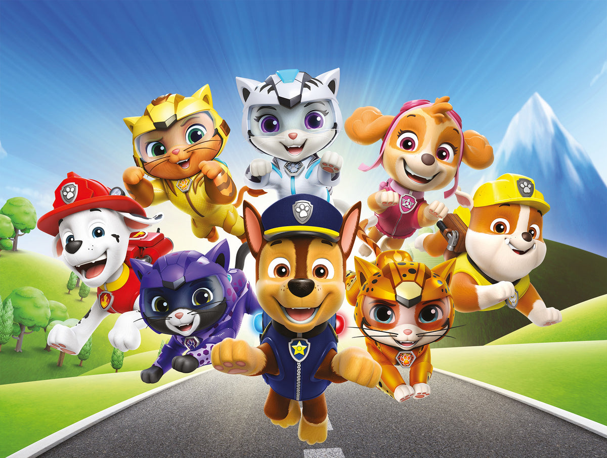 Wandbild CAT PACK PAW PATROL 46x61 cm – Leinwandbild Keilrahmen Deko modern