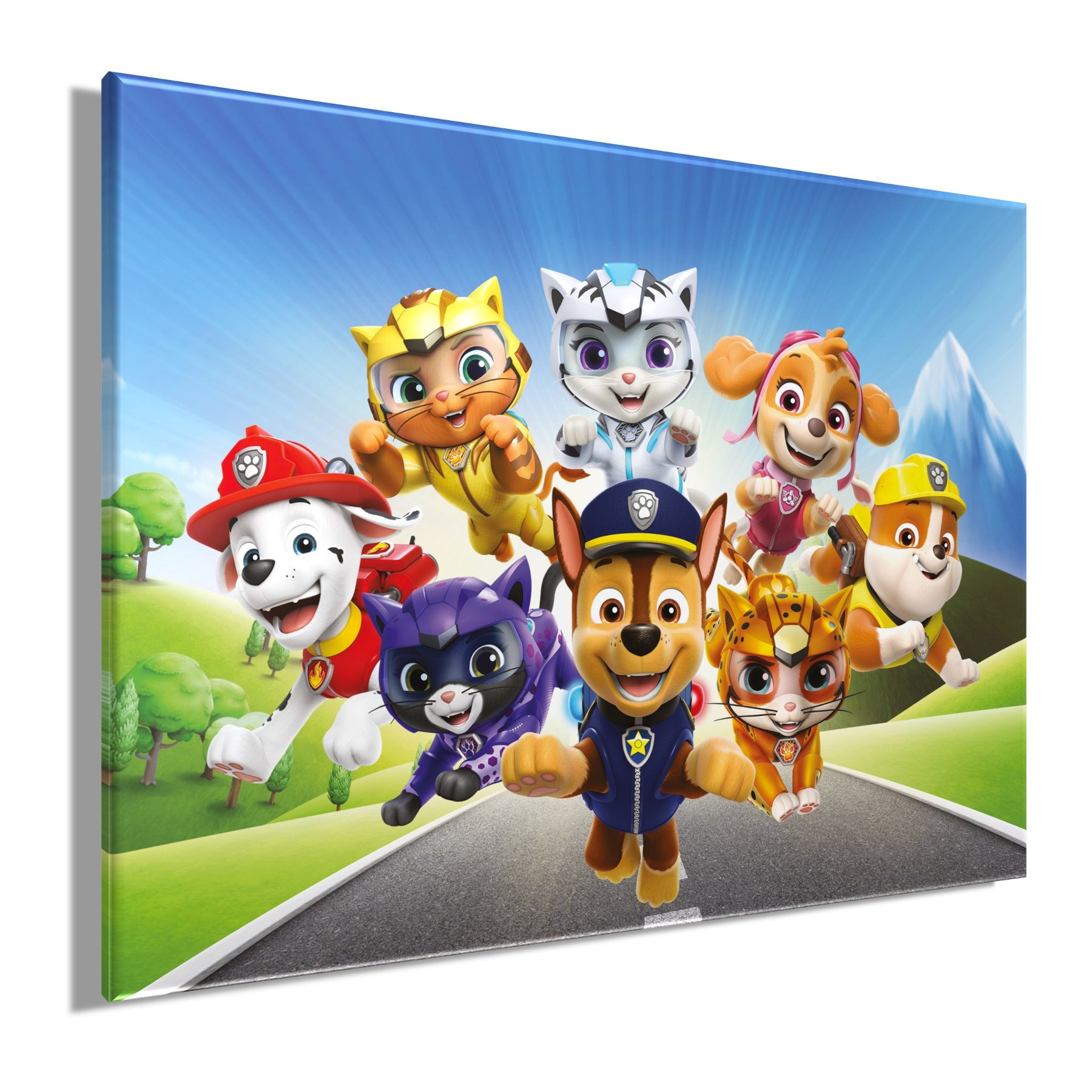 Wandbild CAT PACK PAW PATROL 46x61 cm – Leinwandbild Keilrahmen Deko modern - Seitenansicht
