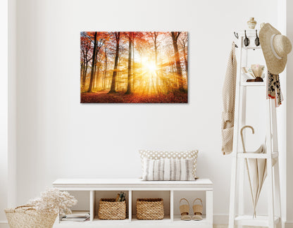 Wandbild HERBSTWALD 60x90 cm – Leinwandbild Keilrahmen Deko modern - Ambiente 1
