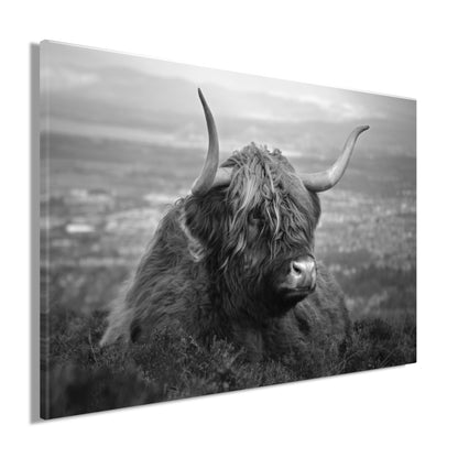 Wandbild HOCHLANDRIND AM SEE 60x90 cm – Leinwandbild Keilrahmen Deko modern - Seitenansicht