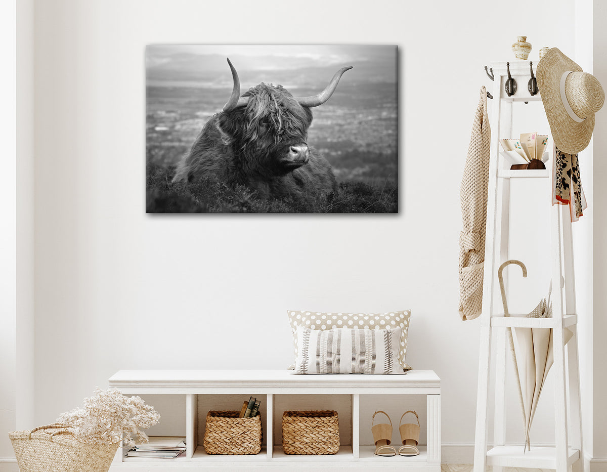 Wandbild HOCHLANDRIND AM SEE 60x90 cm – Leinwandbild Keilrahmen Deko modern - Ambiente 1