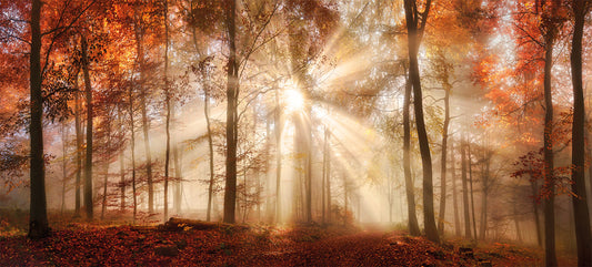 Wandbild HERBSTWALD XXL 90x200 cm – Leinwandbild Keilrahmen Deko modern