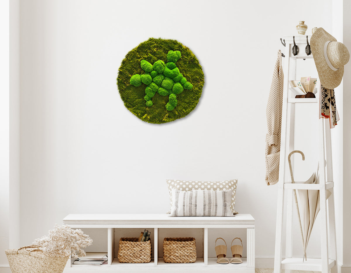 Moosbild "Mix Moos" Rund 80x80 cm - Ambiente 1