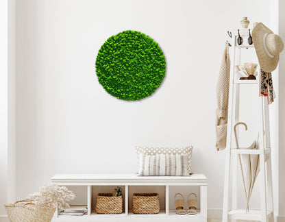 Moosbild "Rentiermoos" Rund 80x80 cm - Ambiente 1