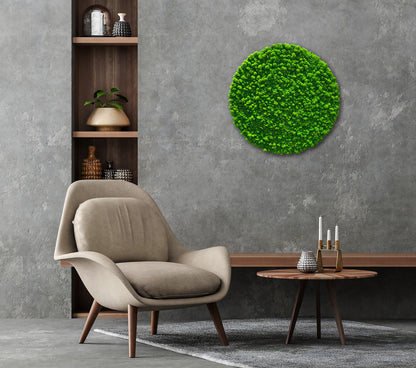 Moosbild "Rentiermoos" Rund 80x80 cm - Ambiente 2
