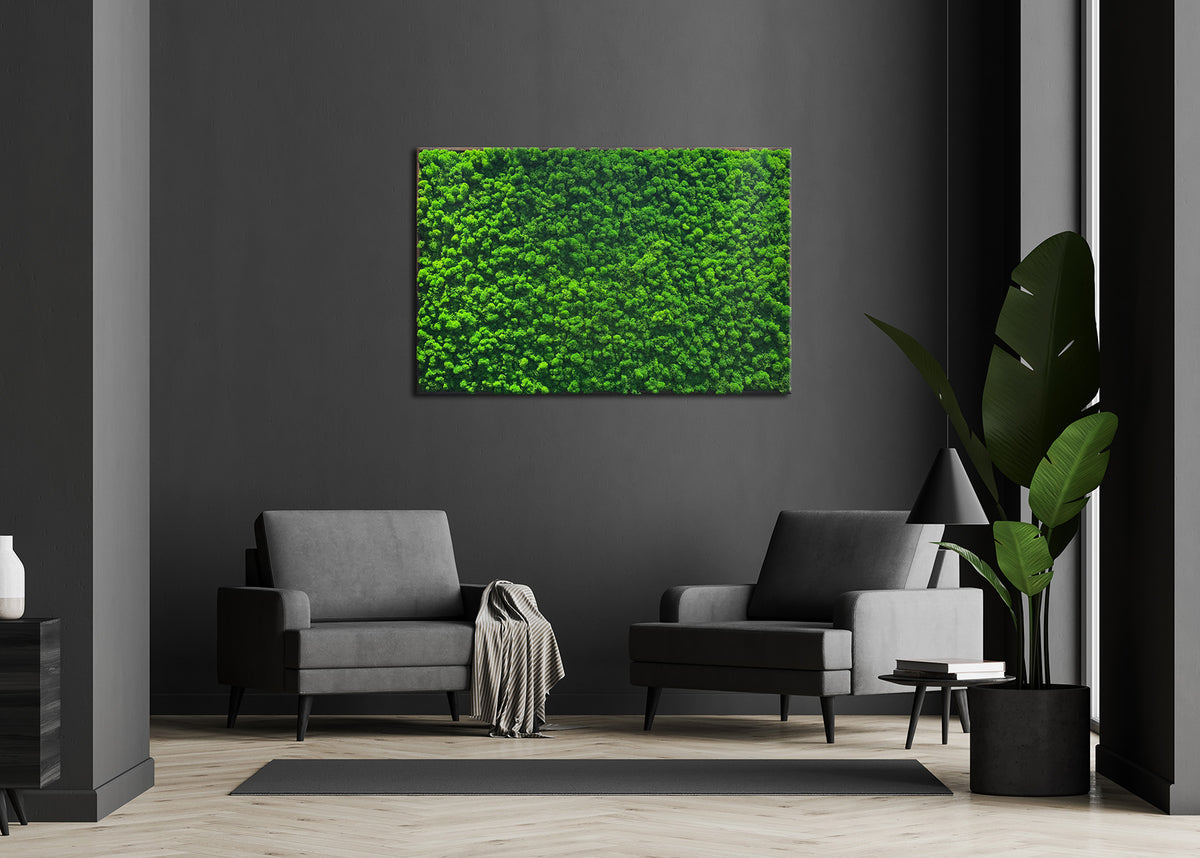 Moosbild "Rentiermoos" 70x110 cm, schwarzer Rahmen - Ambiente 1