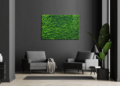 Moosbild "Rentiermoos" 70x110 cm, schwarzer Rahmen - Ambiente 1