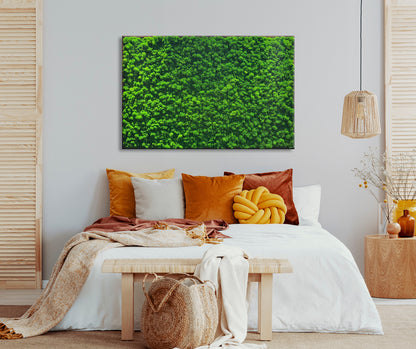 Moosbild "Rentiermoos" 70x110 cm, schwarzer Rahmen - Ambiente 2
