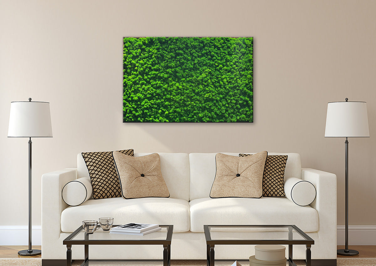 Moosbild "Rentiermoos" 70x110 cm, schwarzer Rahmen - Ambiente 3