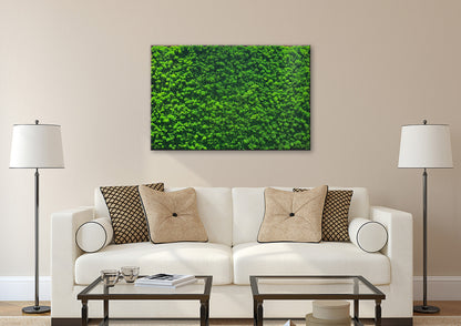 Moosbild "Rentiermoos" 70x110 cm, schwarzer Rahmen - Ambiente 3