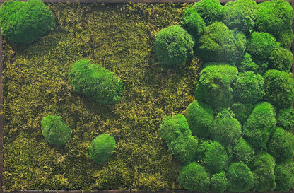 Moosbild "Mix Moos" 70x110 cm, schwarzer Rahmen