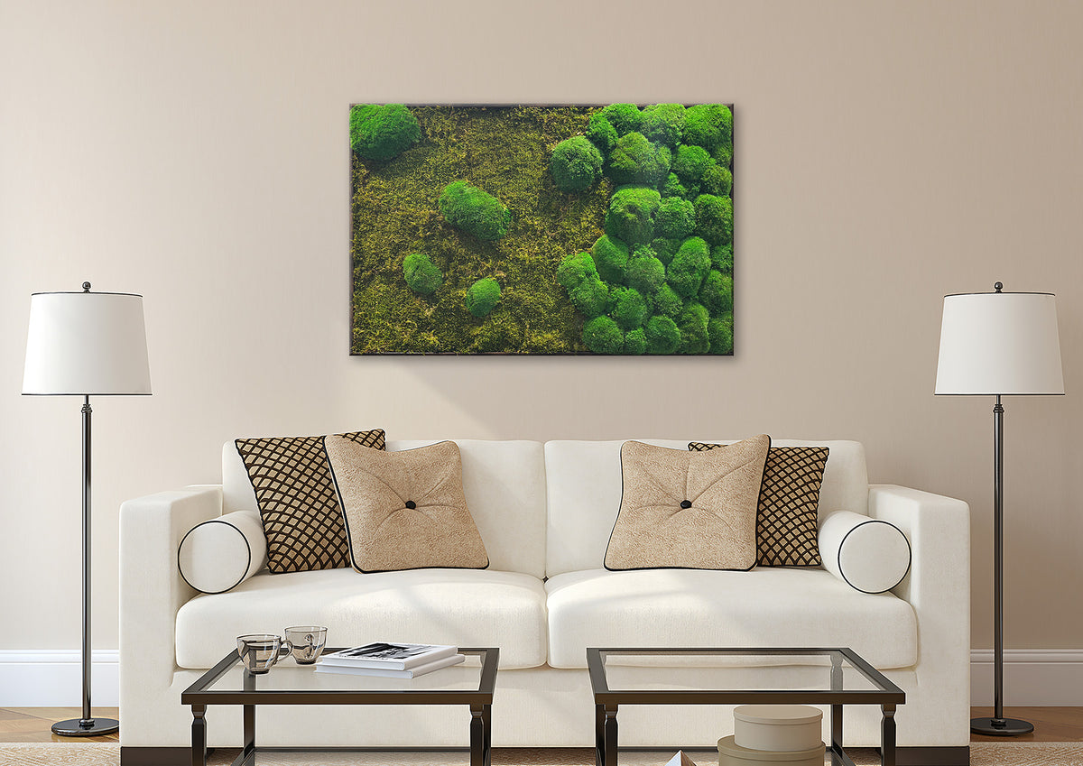 Moosbild "Mix Moos" 70x110 cm, schwarzer Rahmen - Ambiente 3