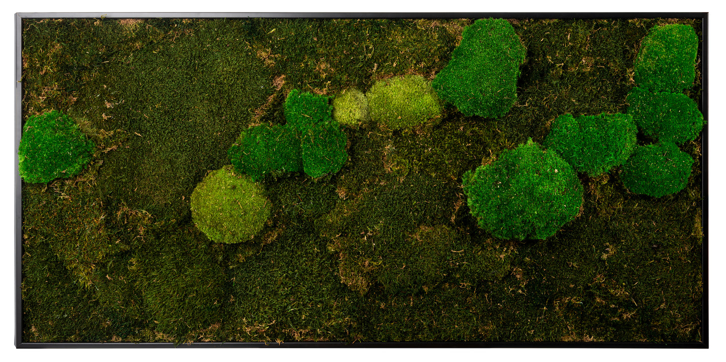 Moosbild "Mix Moos" 60x120 cm, schwarzer Rahmen