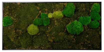 Moosbild "Mix Moos" 60x120 cm, schwarzer Rahmen