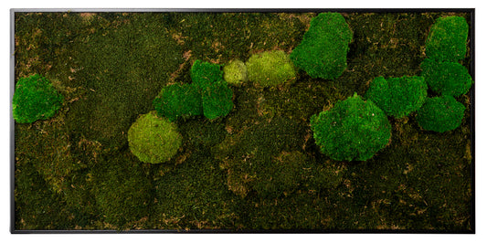 Moosbild "Mix Moos" 60x120 cm, schwarzer Rahmen
