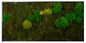 Moosbild "Mix Moos" 60x120 cm, schwarzer Rahmen