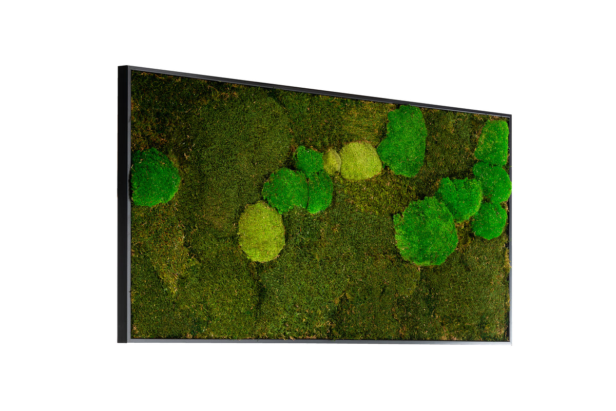 Moosbild "Mix Moos" 60x120 cm, schwarzer Rahmen