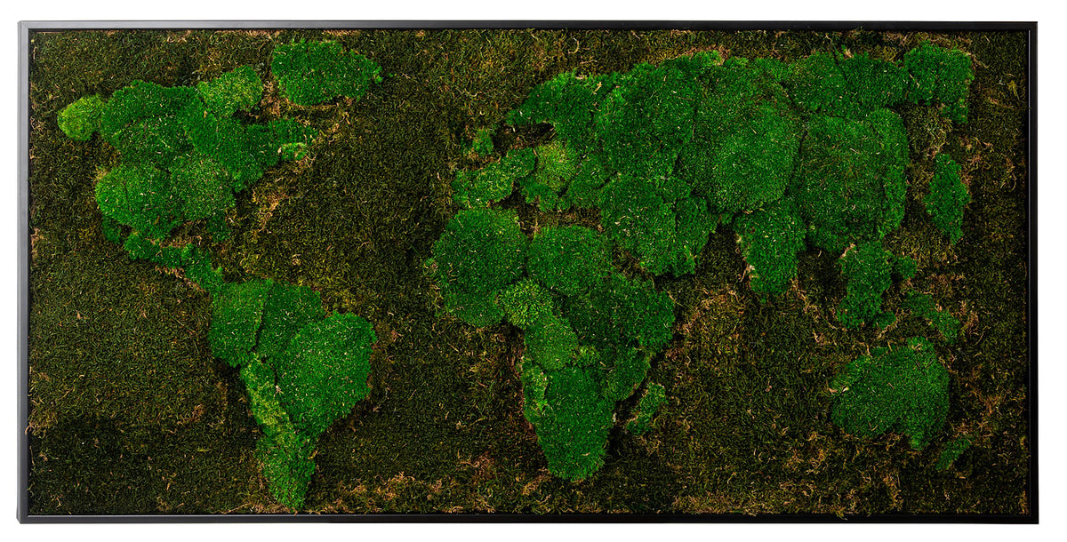 Moosbild "Weltkarte" 60x120 cm, schwarzer Rahmen