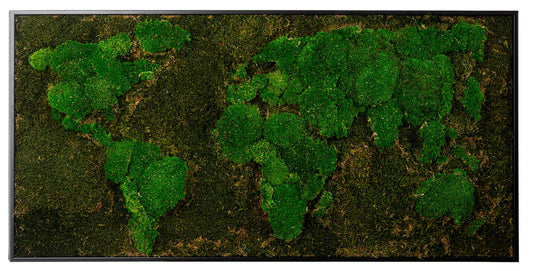 Moosbild "Weltkarte" 60x120 cm, schwarzer Rahmen